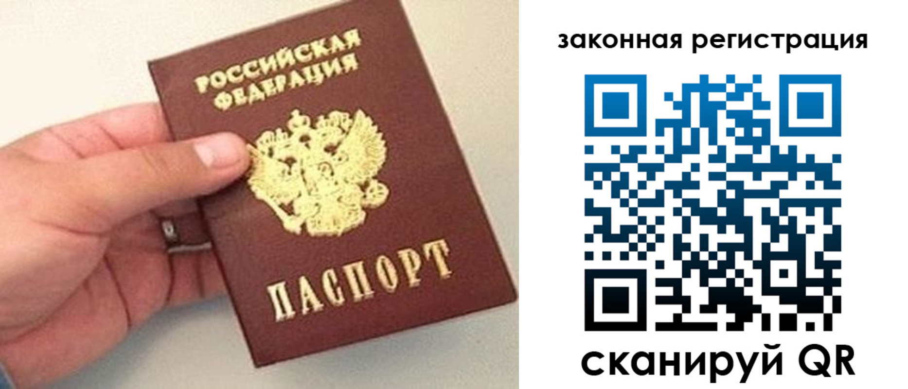 прописка для школы в Новозыбкове